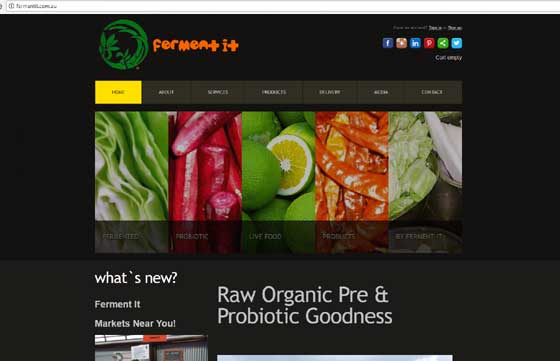 Fermented Food Website by Marinaided